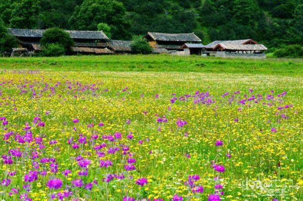 麗江好玩的地方——九子海_麗江旅游景點(diǎn)推薦 麗江自助游攻略2014